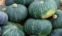 南通最近有什么吃瓜爆料,揭秘本地热门事件幕后真相